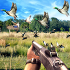 Duck Hunting Challenge 7.0