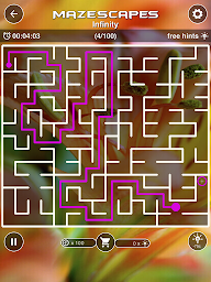 Mazescapes Amazing Maze