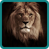 Lion Hero Game icon