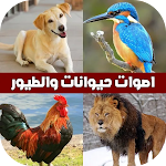Cover Image of Baixar اسماء اصوات الحيوانات والطيور 3 APK