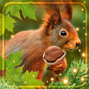 Forest Squirrel Live Wallpaper