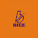 BICE E-LEARNING icon