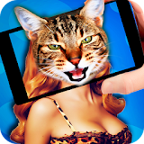 Face scanner - what cat? icon
