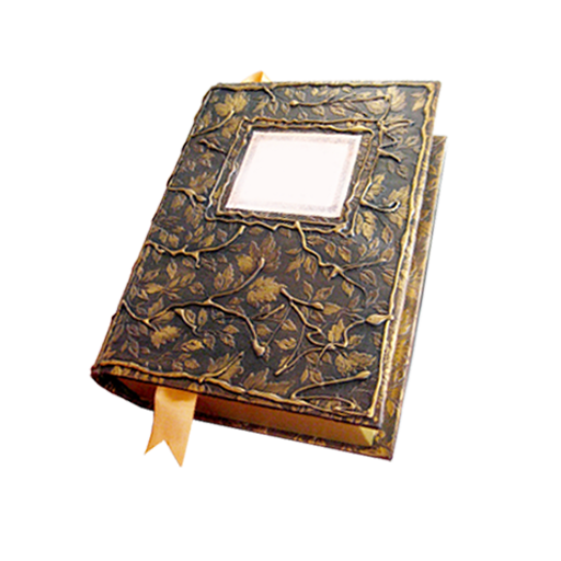 Nomad Reader logo