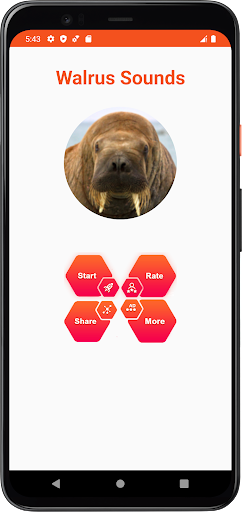 Walrus Sounds Screen 2