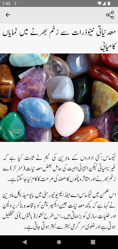 Urdu Feeds: Urdu News-Pakistan Screen 3