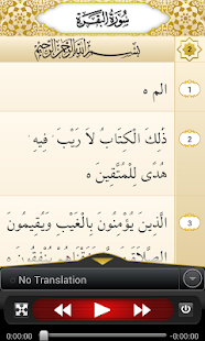 معاينة التطبيق