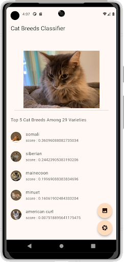 Cat Classifier Screen 2