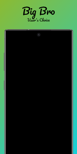 Big Bro Screen 3