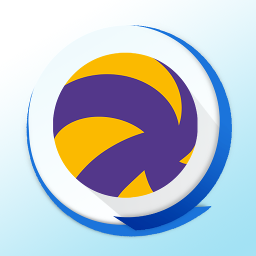 NS Volley Scout PRO Logo