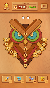 Wooden Screw: Nuts and Bolts 4