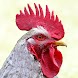 面白い鶏の鳴き声は着信音を鳴らします
