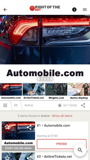 RightOfTheDot Auctions Screen 3