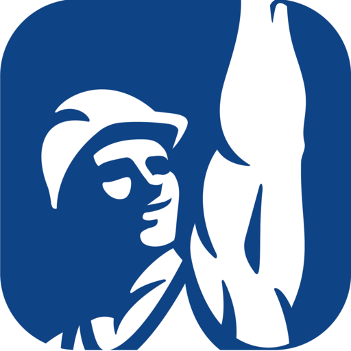 Maestro Polpaico logo