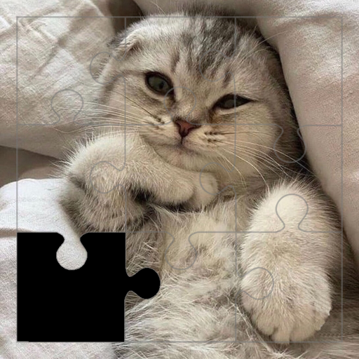 Wonderful Cat Puzzles logo