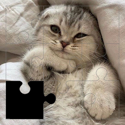 Icon image Wonderful Cat Puzzles