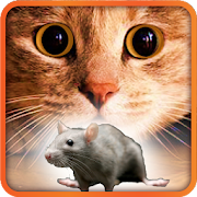 Games for Cat mouse on screen  Icon