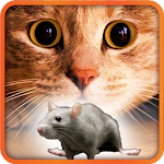 Games for Cat mouse on screen Apk