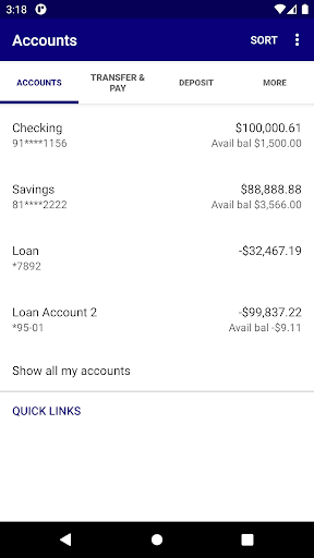 Vermilion Valley Bank Screen 3
