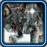 Wolf Angry Free live wallpaper icon