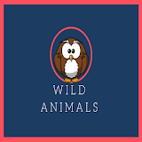 Wilds Animals - Memory Game icon