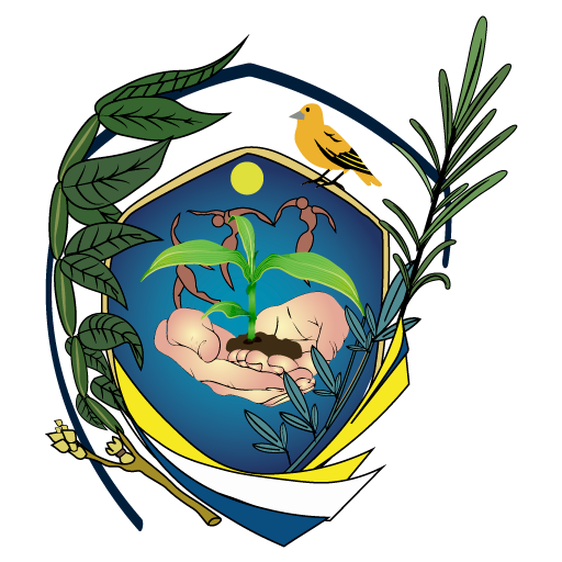 Copa S.P. Inchapicho