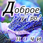 Cover Image of Descargar Buenos días, tardes y noches en ruso 5.4.1 APK