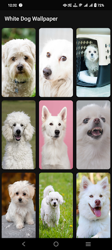 White Dog Wallpaper Screen 3