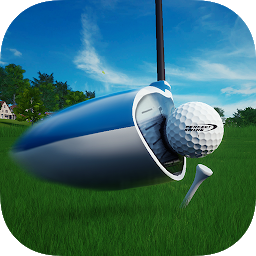 Ikoonprent Perfect Swing - Golf