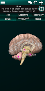 Internal Organs in 3D (Anatomy) 2.5 Screenshots 7