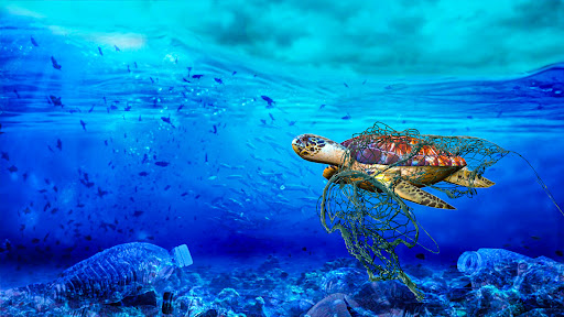 Ocean Cleanup 3D Screen 3