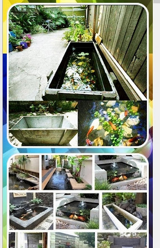 modern fish pond design