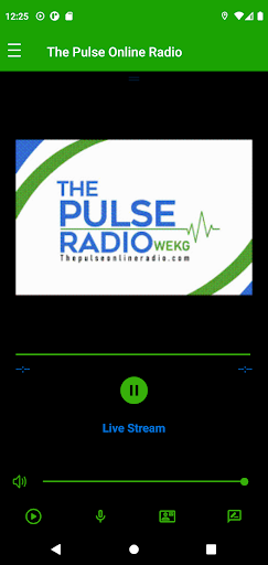 The Pulse Online Radio Screen 2