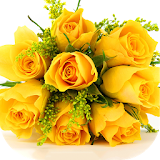 Yellow Roses Wallpapers icon