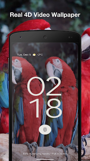 Tropical Birds Live Wallpaper Screen 3