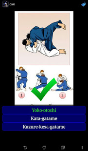 Judo in brief  Screenshots 10