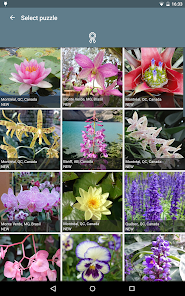 Imágen 9 Rompecabezas: Flores android