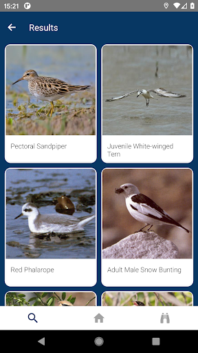 Android application Bird Id screenshort