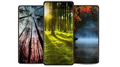 Android application Forest Wallpapers screenshort