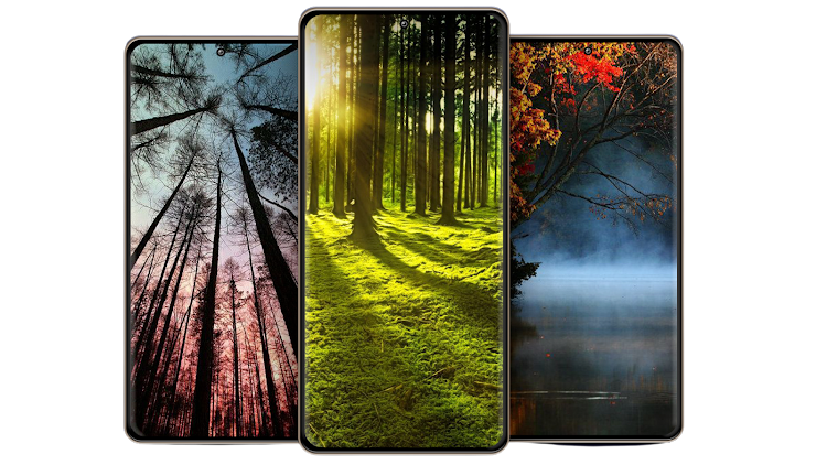 Forest Wallpapers - 25 - (Android)
