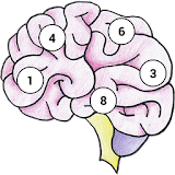 Brain Memory Exercise icon