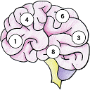 تنزيل Brain Memory Exercise التثبيت أحدث APK تنزيل