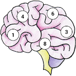 Brain Memory Exercise Apk