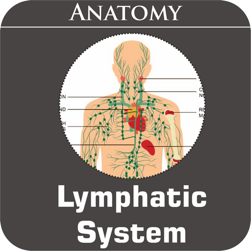 Lymphatic System  Icon