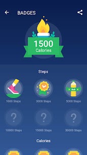 Step Counter – Pedometer 4