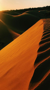 Mui Ne sand dunes wallpaper