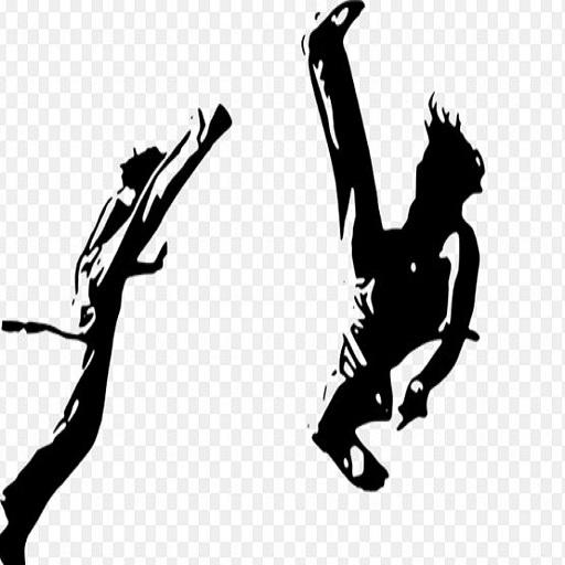 capoeira martial movement
