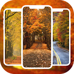 Cover Image of Download Autumn Wallpaper HD 4K  APK