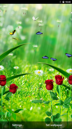 Garden Live Wallpaper Screen 2