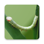 Top 27 Education Apps Like Bamboo Pest ID - Best Alternatives